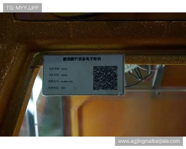 AG游艺电子平台的支付方式多样化确保玩家资金安全与便捷 AG游艺电子平台的支付方式多样化确保玩家资金安全与便捷