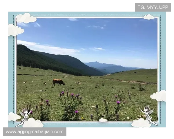 云顶山攻略:如何规划一日游行程,充分体验云顶山的自然美景 云顶山攻略:如何规划一日游行程,充分体验云顶山的自然美景