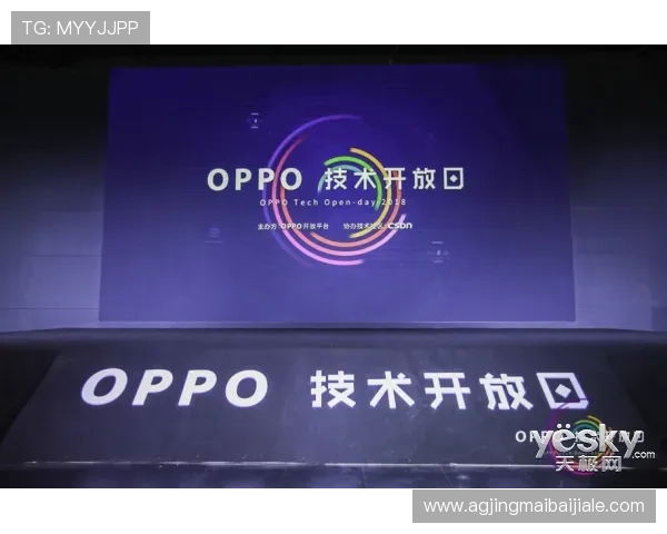 ag视讯有那些功能介绍，满足不同玩家需求的多样化娱乐体验详解