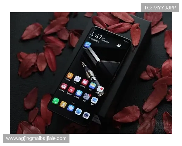 凯发体育下载ag平台如何保障用户资金安全与隐私保护措施介绍