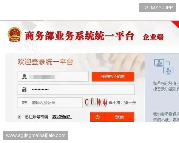 gd真人会员登录官网入口指南，帮助用户快速顺利完成账号登录流程