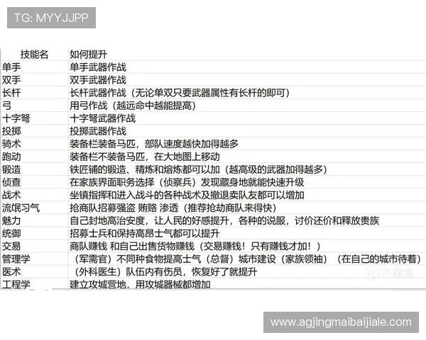 如何高效利用龙虎人丹提升角色等级与战斗技能的详细攻略