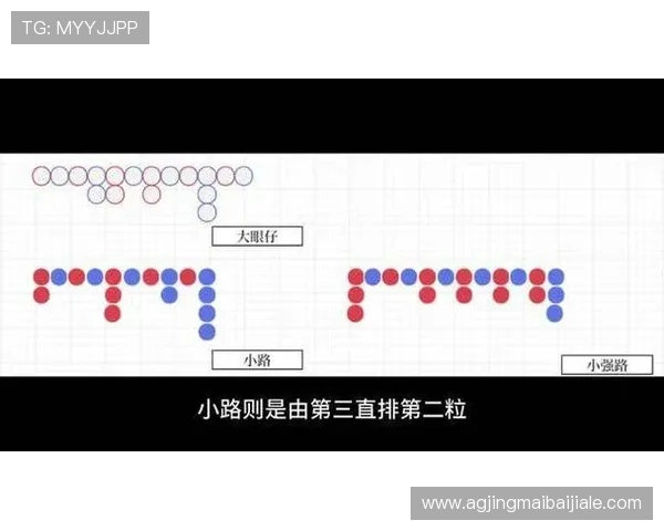 百家乐下三路投注技巧大全帮助玩家实现持续盈利的实战经验
