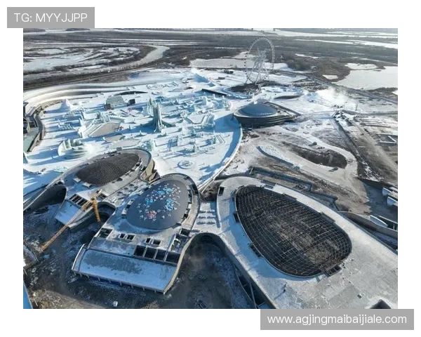 九游真人体育引入创新的虚拟互动技术提升比赛的真实感和参与感 九游真人体育引入创新的虚拟互动技术提升比赛的真实感和参与感