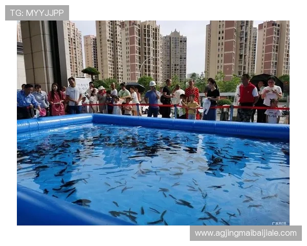 如何在博鱼真人官方平台快速注册账号,详细步骤指导助你轻松开启真人娱乐之旅 如何在博鱼真人官方平台快速注册账号,详细步骤指导助你轻松开启真人娱乐之旅