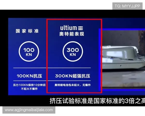 乐博真人如何保障玩家资金安全，详解平台安全措施与风险控制