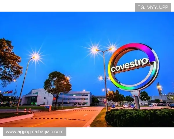 体育真人盘口的技术支持与创新应用推动行业持续健康发展