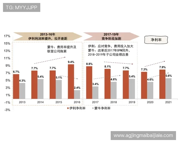 深入学习百家乐路单教程掌握各种路单的特点和应用场景实现稳健盈利