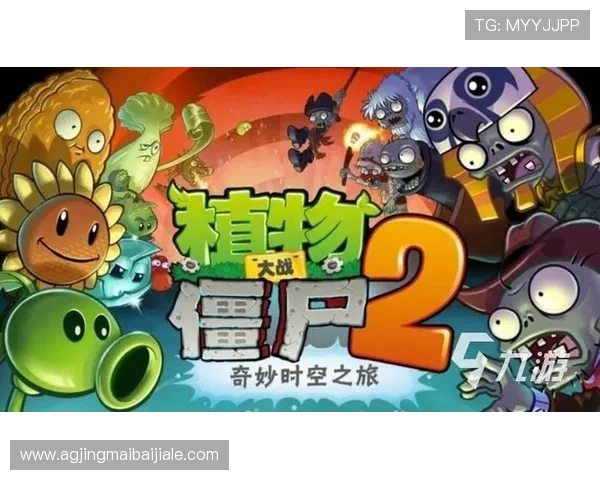 视讯游戏官网的安全保障措施，保障玩家账号信息和资金安全