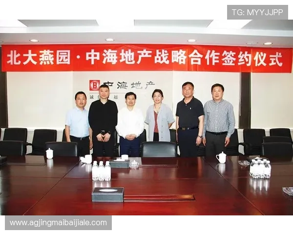 马来云顶集团的投资项目与合作伙伴关系详解