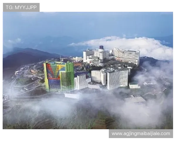 马来西亚云顶赌场官方APP下载与使用教程详细指南