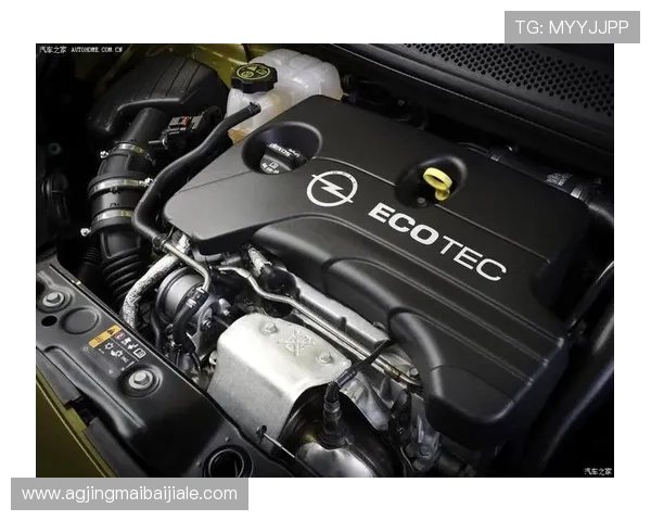 欧宝真人app最新版本下载与安装指南，全面提升您的游戏体验