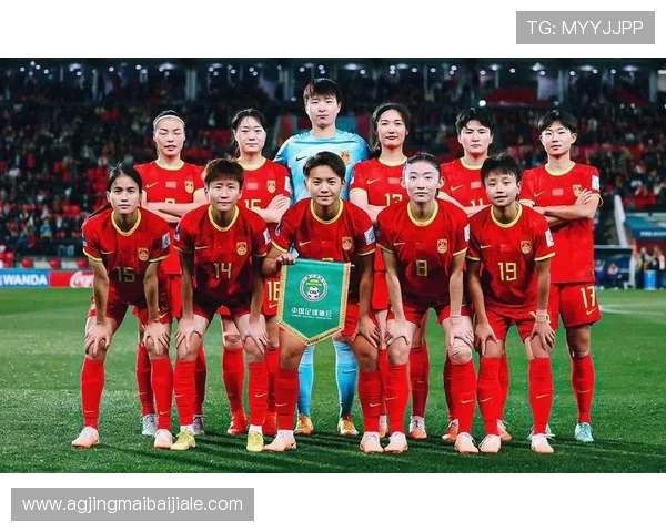 世界杯巴西海地比赛门票价格及优惠政策解析，帮助球迷合理安排购票预算