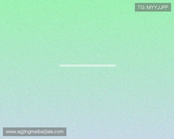 U体育真人版全站登录打造沉浸式世界杯报道体验实现赛事资讯、直播和互动的无缝连接